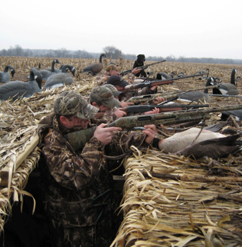 Goose Hunting