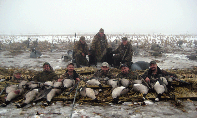 Guided Michigan Goose Hunting. Duck Hunting and Youth hunts also available from HayDays Hunts